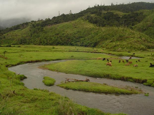 Udabe River
