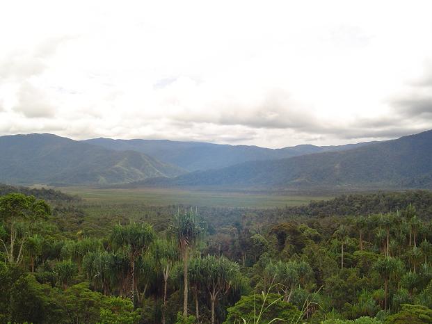 Kosipe Swamp...